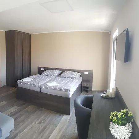 Guest house Centrum 3*